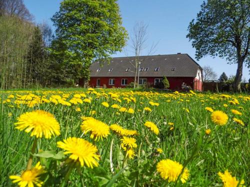 Ferien auf dem Lande