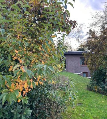 Ferien ind Monteur Wohnung Maiglöckchen mit 2 Schlafzimmern