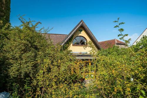 Ferienatelier im Haus Ginkgo
