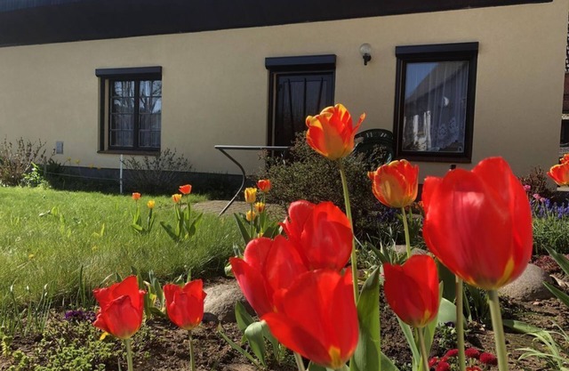 Ferienbungalow Familie Pohl - Holiday bungalow, shower, 1 bedroom