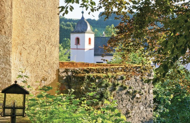 Ferienhaus 16 in Thalfang