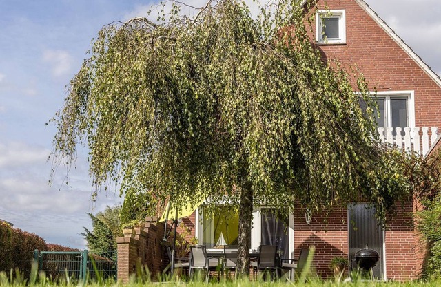 Ferienhaus 50127 "große Scholle" - Das Ferienhaus "große Scholle" ist mit Vier Schlafzimmern für
