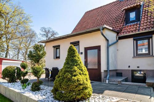 Ferienhaus am Park