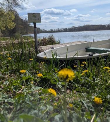 Ferienhaus am See mit Ruderboot