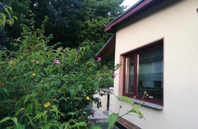 Ferienhaus am Wald