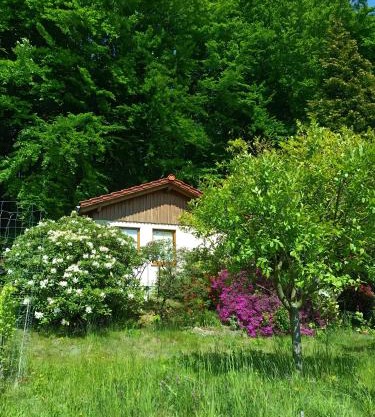 Ferienhaus am Wald mit Südblick