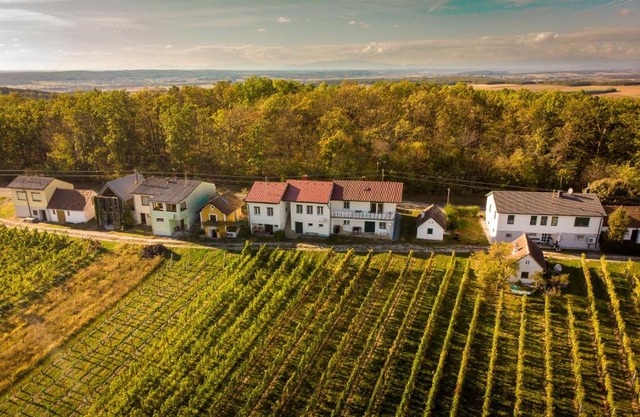 Ferienhaus Szapary I