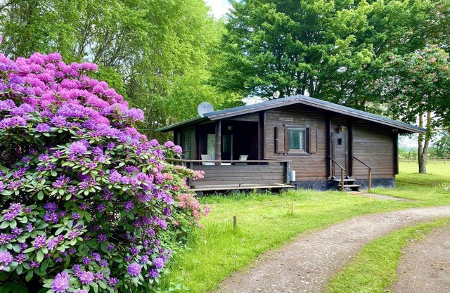 Ferienhaus auf einem Reiterhof