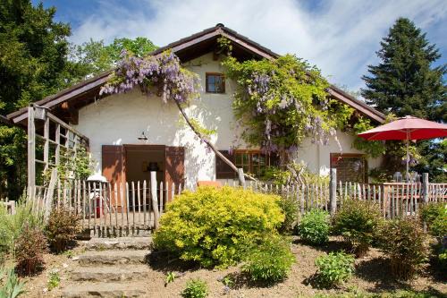 Ferienhaus Auszeithaus