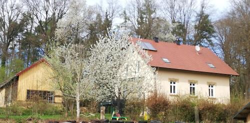 Ferienhaus Rötzer - Forsthausschmankerl