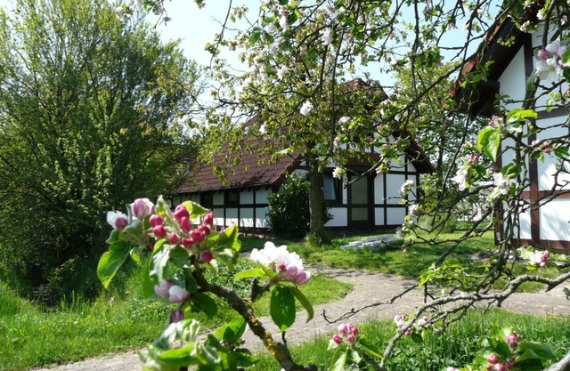 Ferienhaus Deichgraf 86 im Feriend