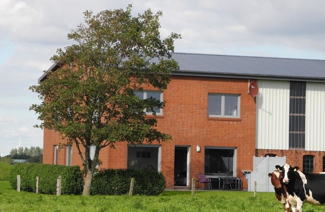 Ferienhaus für 9 Gäste mit 150m² in Oesterdeichstrich
