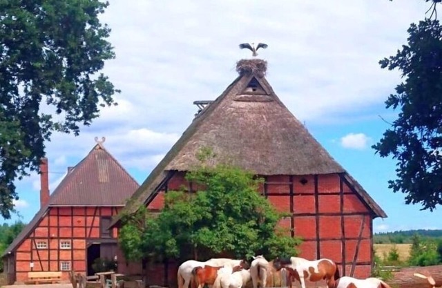 Ferienhaus für 4 Gäste mit 60m² in Hittbergen
