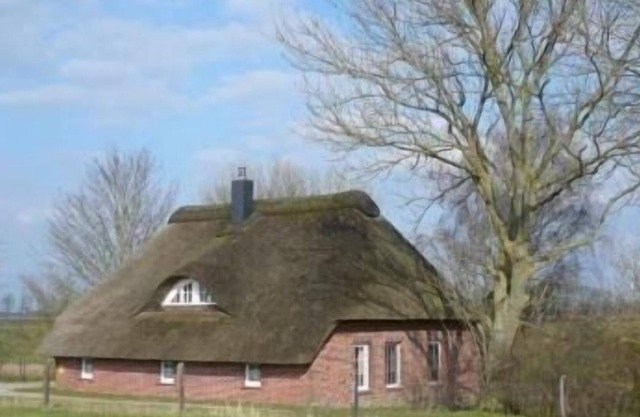 Ferienhaus für 4 Gäste mit 80m² in Augustgroden