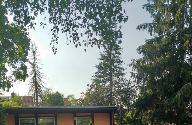 Ferienhaus für 4 Gäste mit 75m² in Birkenwerder