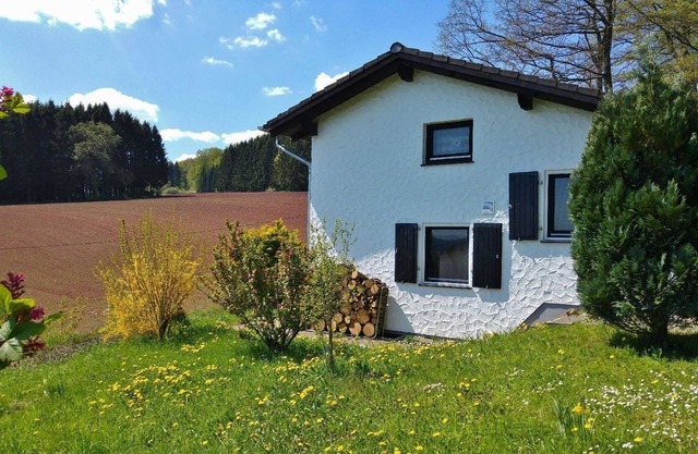 Ferienhaus für 6 Gäste mit 91m² in Lissendorf