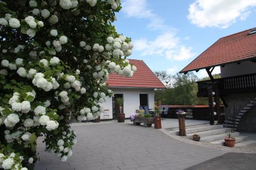 Ferienhaus Felsenblick