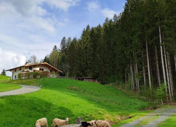 Ferienhaus Hansl