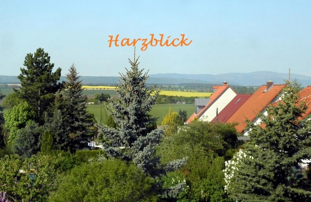 Ferienhaus "Harzblick"