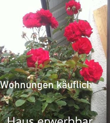 Ferienhaus Haus Kellerhof mit zwei Ferienwohnungen und Garten zu verkaufen Kontakt Peter Heubüschl Lörrach