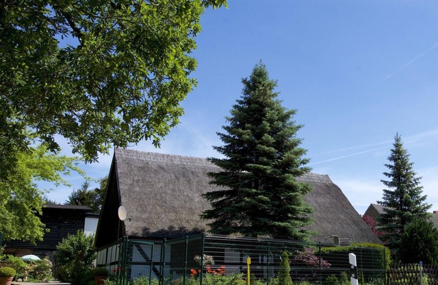 Ferienhaus in Gegensee am Naturpark