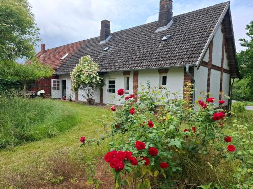 Ferienhaus in Mecklenburg mit gemütlichem Innenhof
