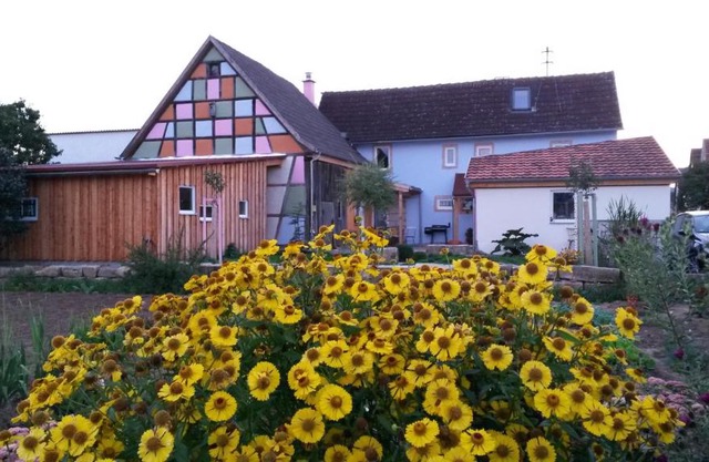 Ferienhaus Kimmelsbacher Hof - Sauna & Naturpool