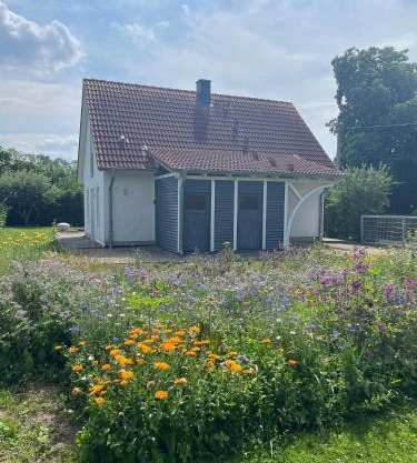 Ferienhaus Muschel
