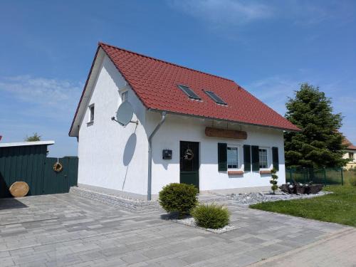Ferienhaus-Natur-Erholung-Pur-Mecklenburgische-Seenplatte-zwischen-Mueritz-und-Ostsee