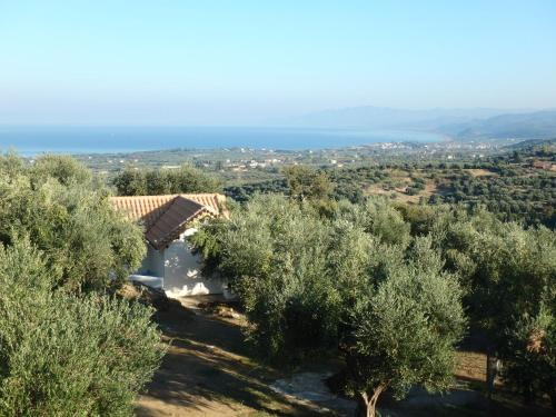 Ferienhaus Olive Garden