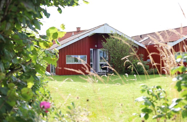 Ferienhaus "sanderling" - Gemütliches Holzhaus mit Blick auf die Schafswiesen