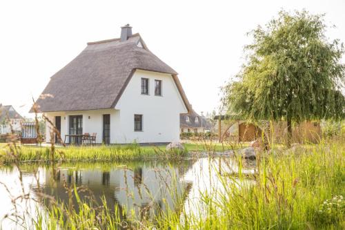 Ferienhaus Seeschwalbe 37