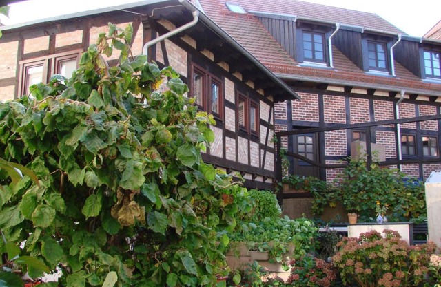 Ferienhaus Sontag