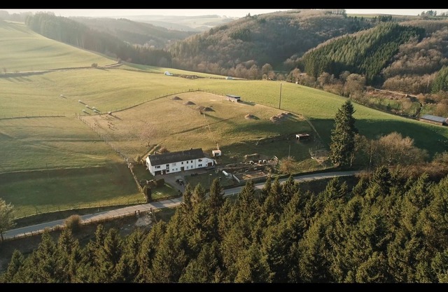 Ferienhaus Waldglück