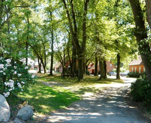 Ferienpension Lindenhof - Ferienwohnungen in der Lüneburger Heide