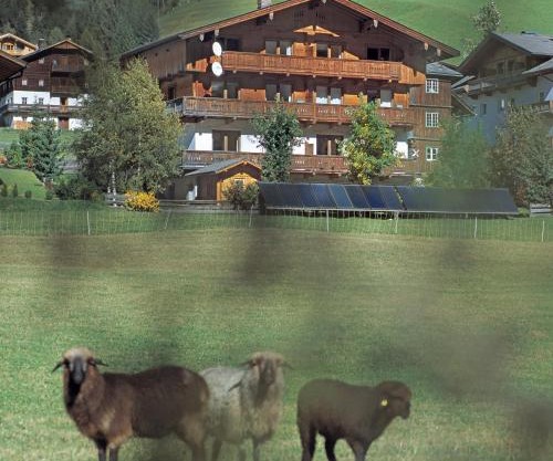 Ferienpension Senfter