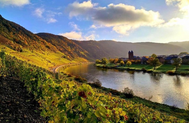 Ferienweingut Gansen Hochgenuss 2