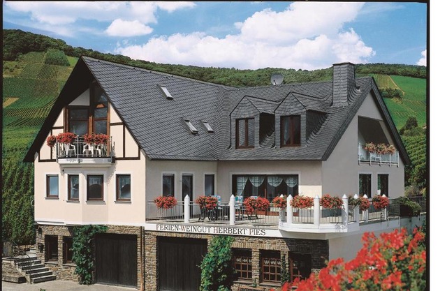 Ferienweingut Pies Ellenz-Poltersdorf
