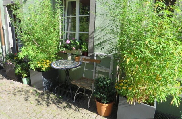 Ferienwohnung, 50qm, 1 Schlafzimmer, max. 2 Personen