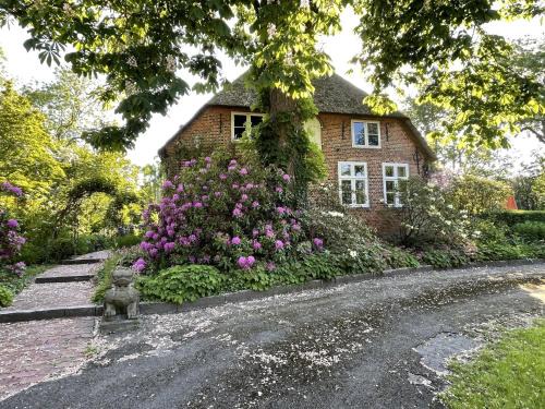 Ferienwohnung "Altes Pastorat"