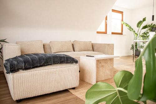 Ferienwohnung am Bollrich