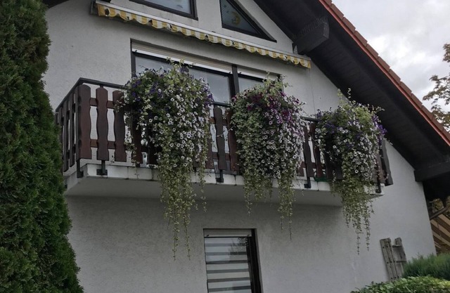 Ferienwohnung am Weinberg - Holiday apartment with terrace in the garden