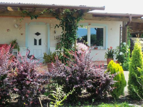 Ferienwohnung am See