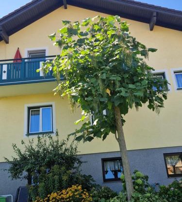 Ferienwohnung am Stadtrand