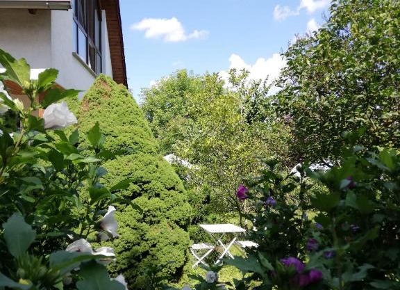 Ferienwohnung an der Windmühle