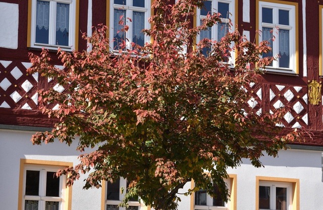 Ferienwohnung/app. für 6 Gäste mit 85m² in Bad Rodach