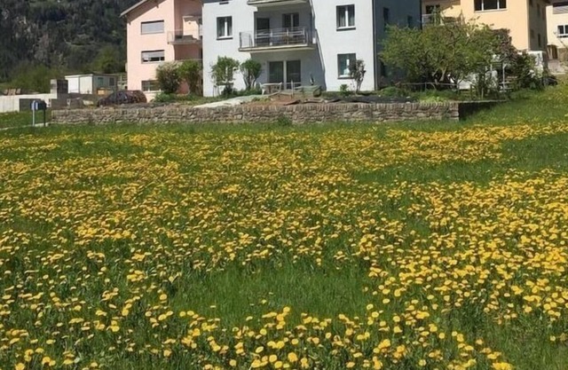 Ferienwohnung/app. für 2 Gäste mit 50m² in Poschiavo