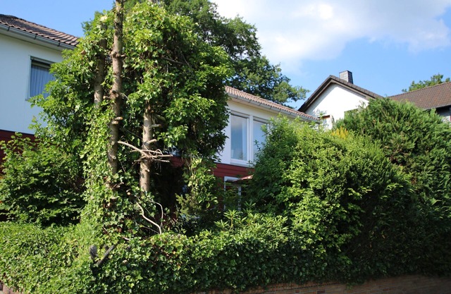 Ferienwohnung/app. für 3 Gäste mit 90m² in Driedorf
