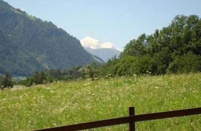 Ferienwohnung/app. für 4 Gäste mit 42m² in Fiesch