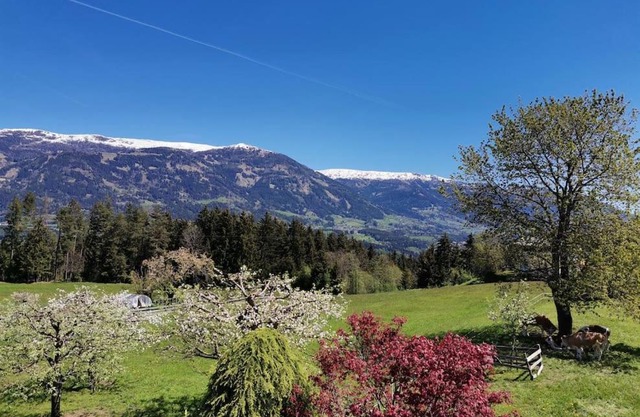 Ferienwohnung Bergblick